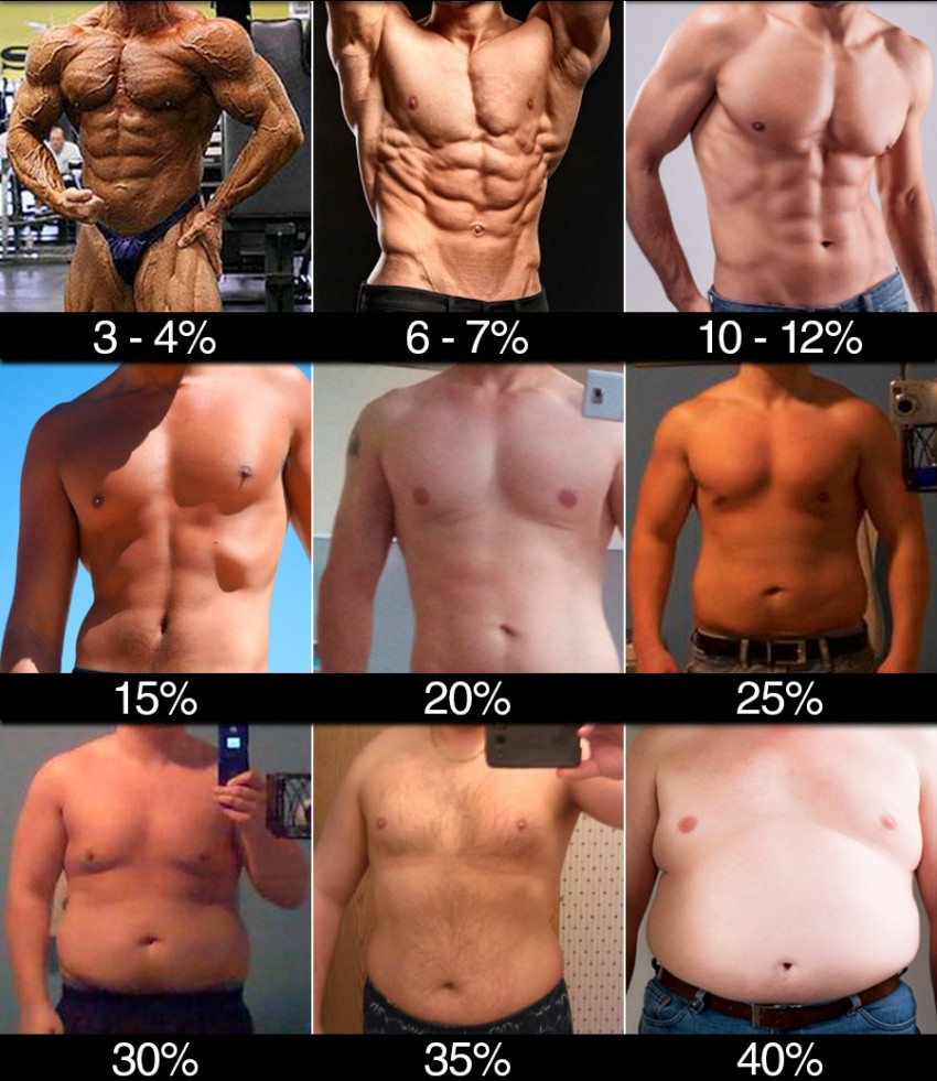 Содержание жира в процентном выражении: мужское тело