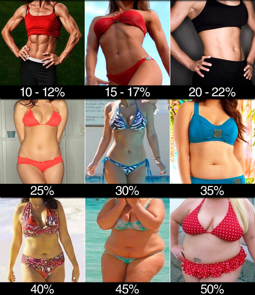 pourcentage de graisse corporelle comment le savoir exemples de photos 60bb9f7d1b30e